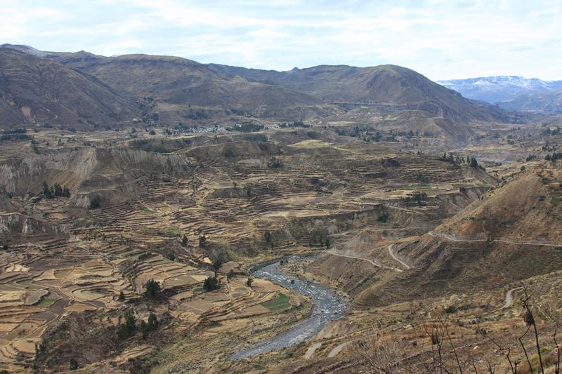 900-Canyon del Colca,15 luglio 2013.JPG